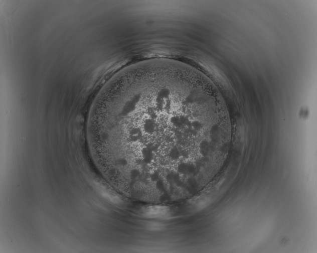 X0000091490361200708161443