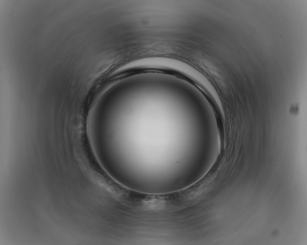 X0000091490362200708161443