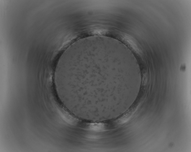 X0000091490363200708161443