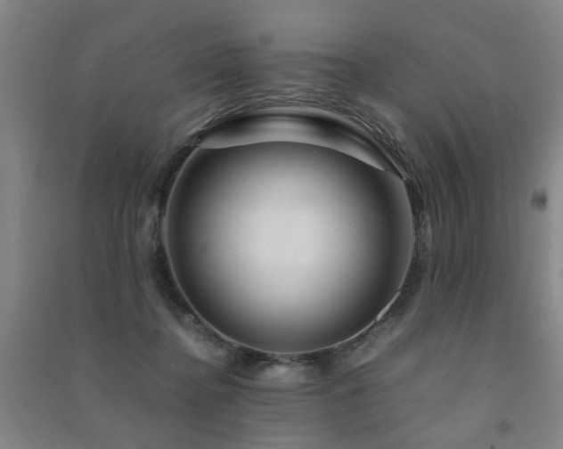 X0000091490364200708161443