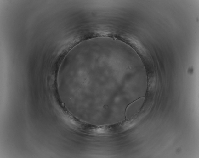 X0000091490365200708161443