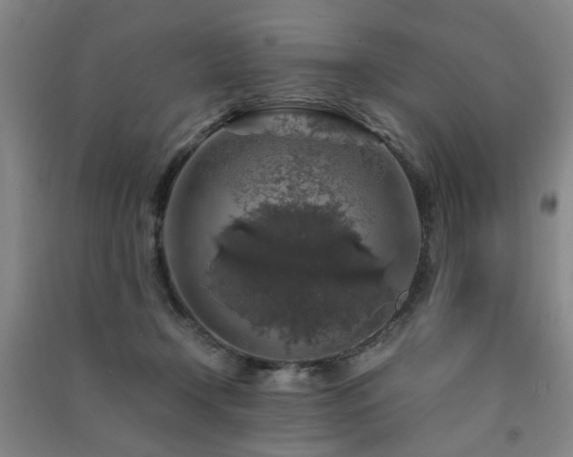 X0000091490366200708161443