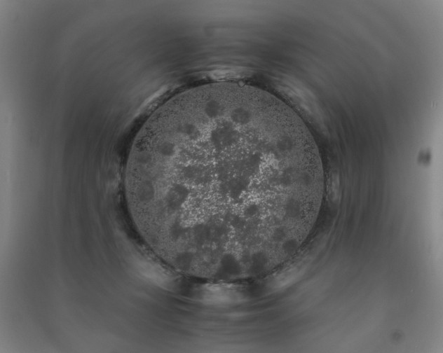 X0000091490367200708161443