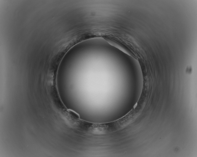 X0000091490368200708161443
