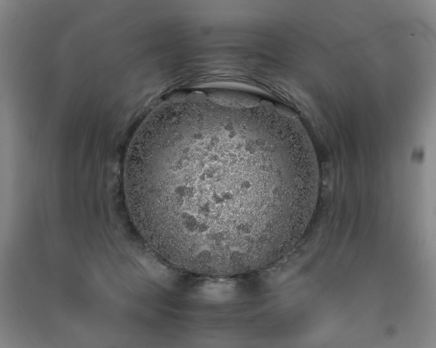 X0000091490369200708161443