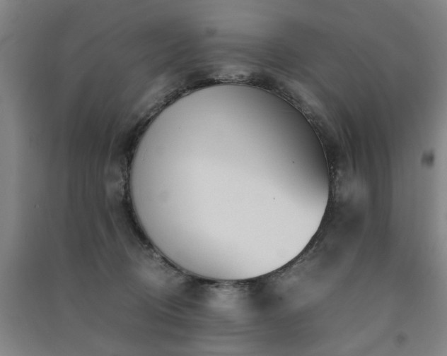 X0000091490370200708161443