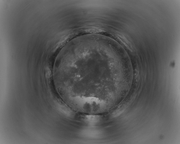 X0000091490371200708161443
