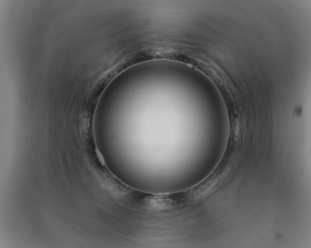X0000091490372200708161443