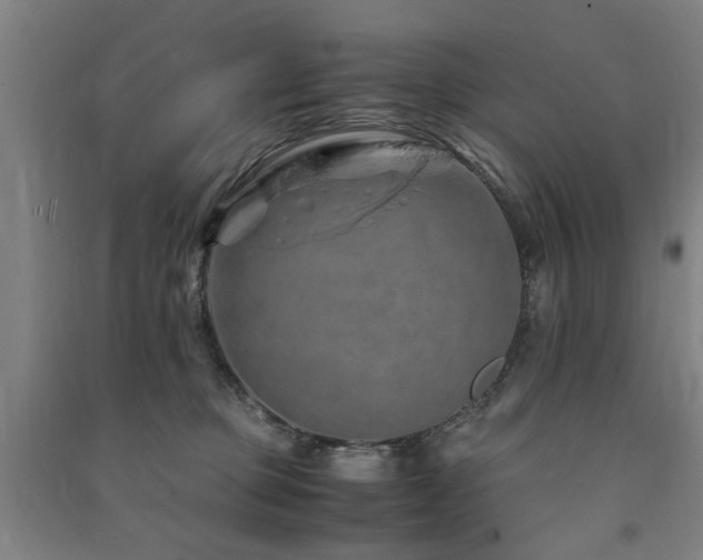 X0000091490373200708161443