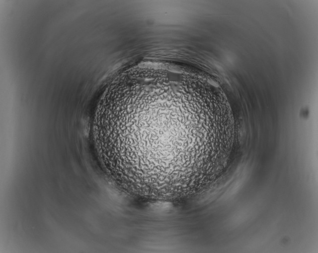 X0000091490374200708161443