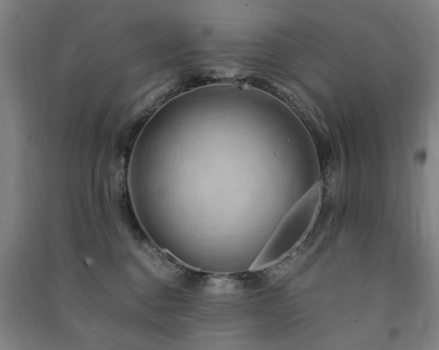 X0000091490376200708161443