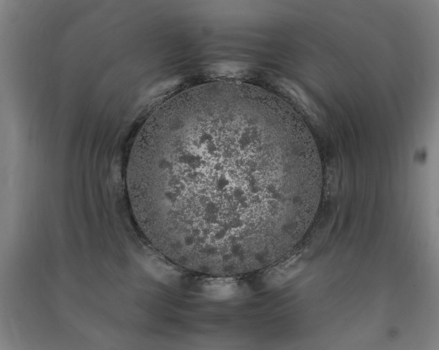 X0000091490377200708161443