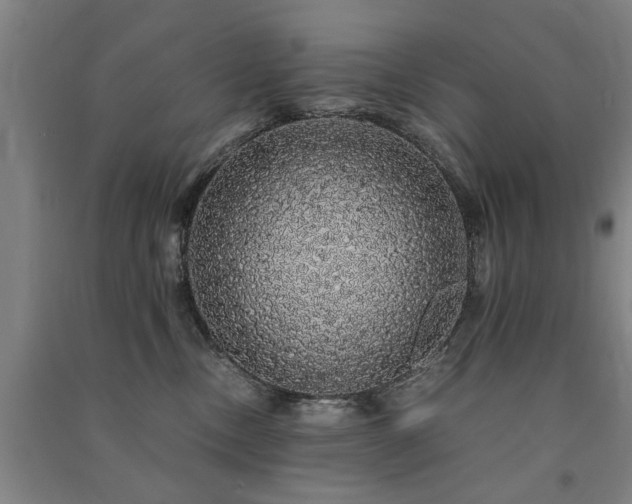 X0000091490378200708161443