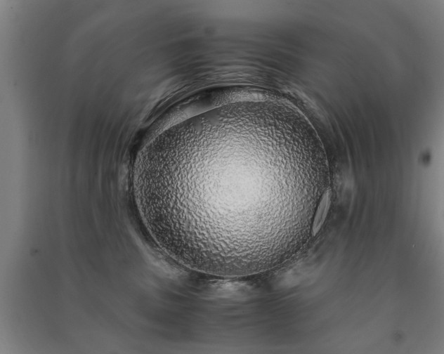 X0000091490379200708161443