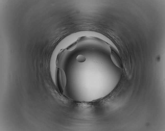 X0000091490380200708161443