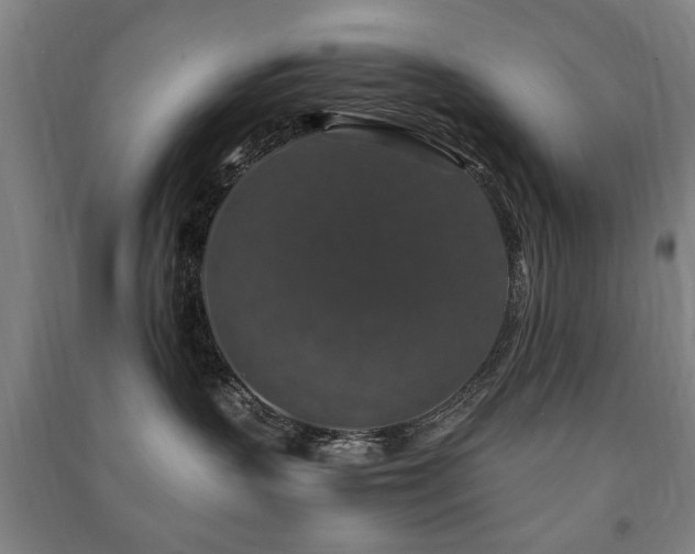 X0000091490383200708161443