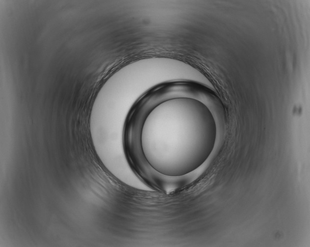 X0000091490384200708161443