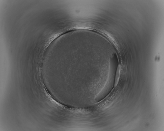 X0000091490385200708161443