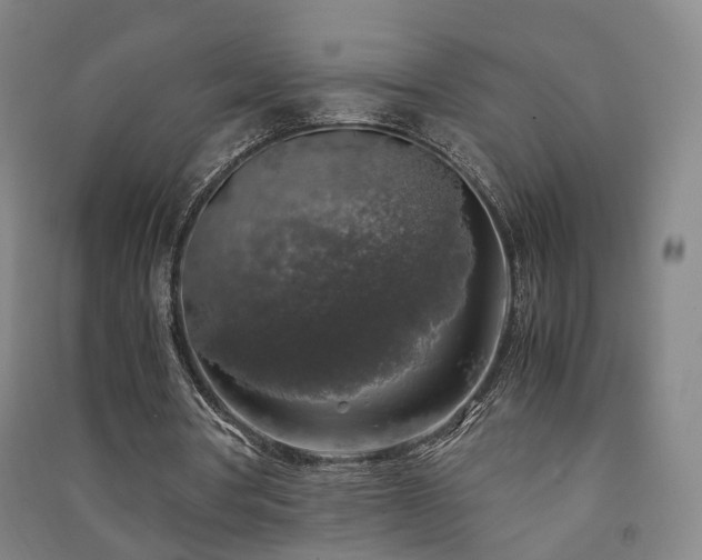 X0000091490386200708161443