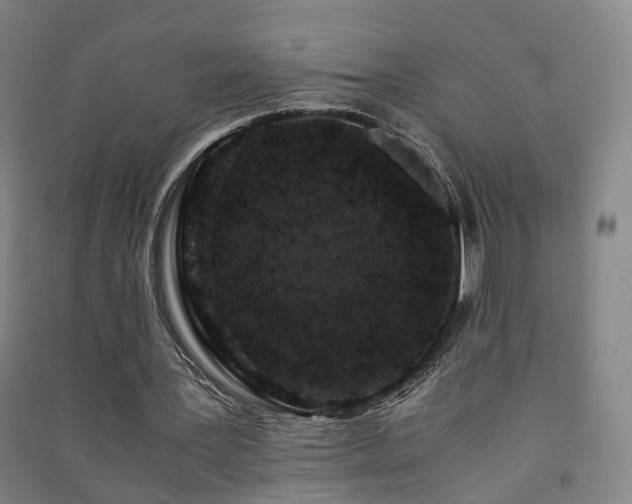 X0000091490387200708161443