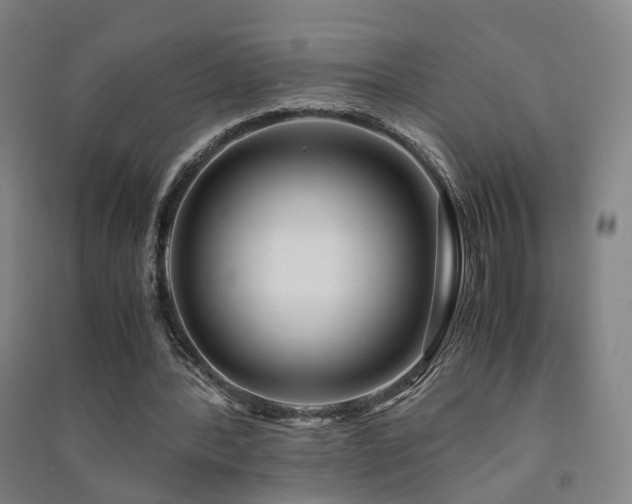 X0000091490388200708161443