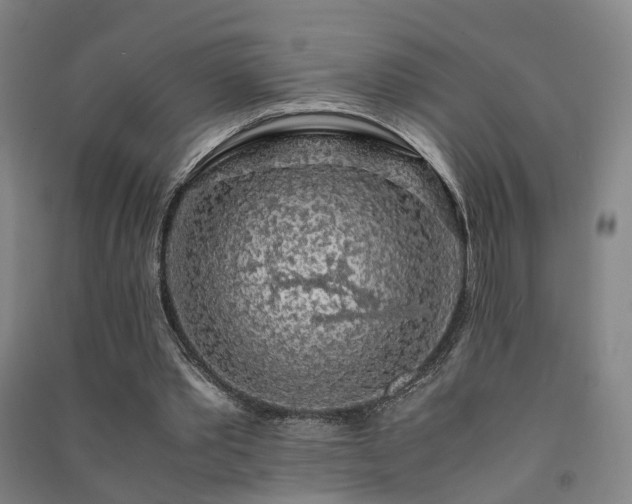 X0000091490389200708161443
