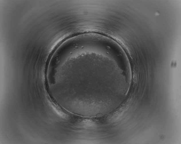 X0000091490390200708161443