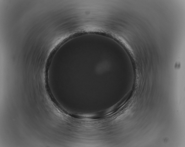 X0000091490391200708161443