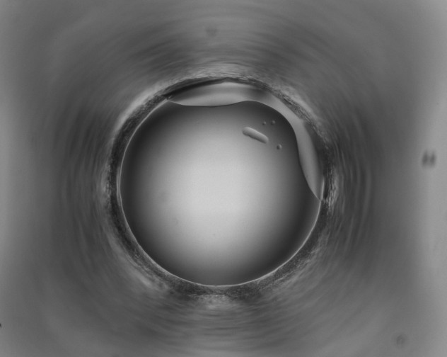 X0000091490392200708161443