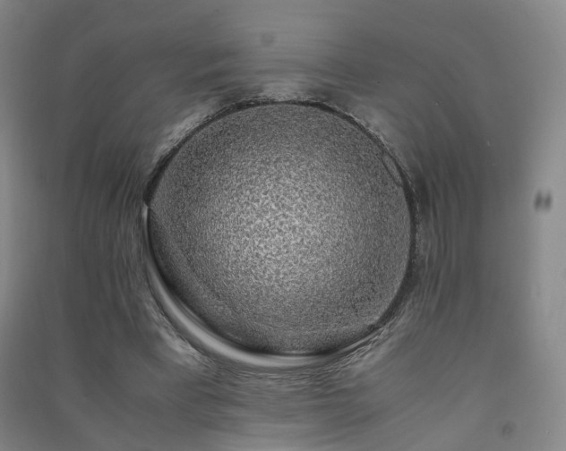 X0000091490393200708161443