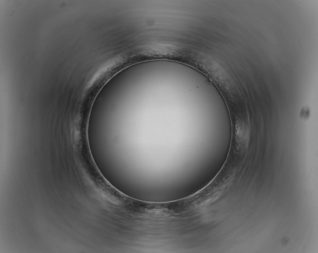 X0000091490396200708161443