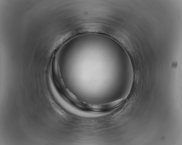 X0000091490397200708161443