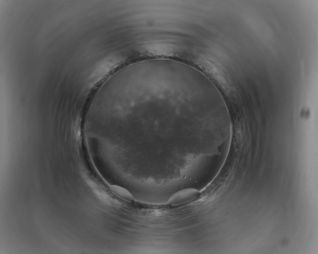 X0000091490398200708161443