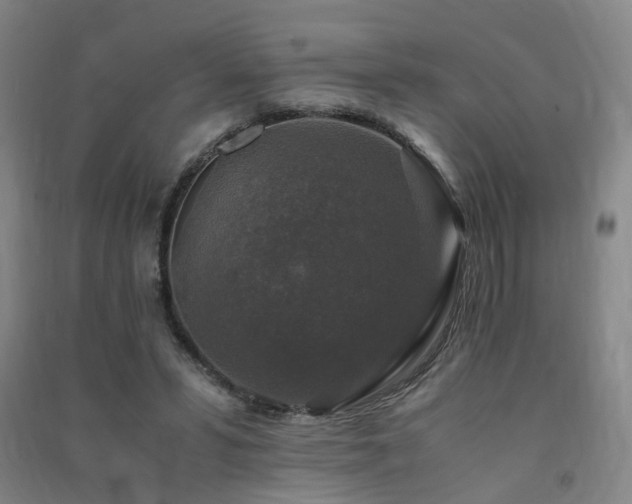 X0000091490399200708161442