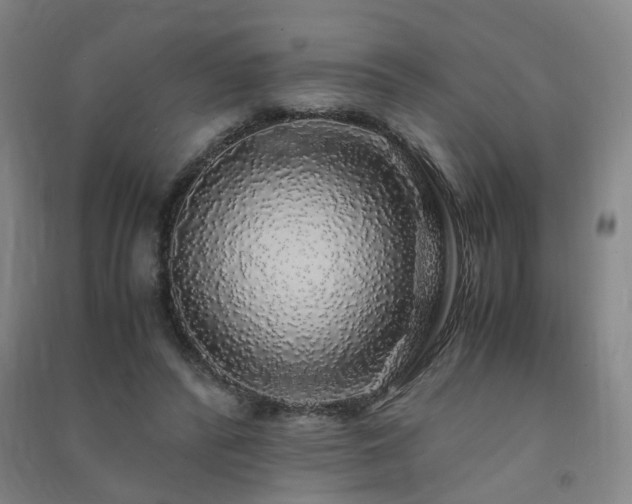 X0000091490400200708161442