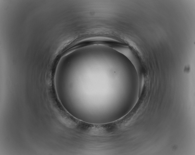 X0000091490403200708161442