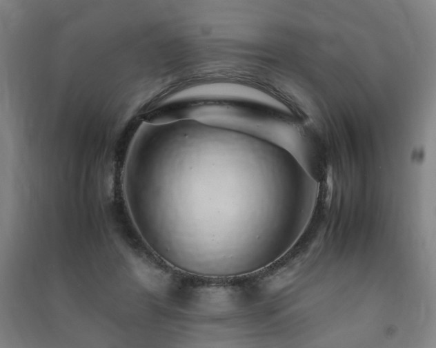 X0000091490404200708161442
