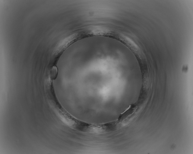 X0000091490405200708161442