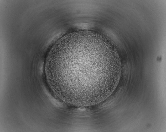 X0000091490406200708161442