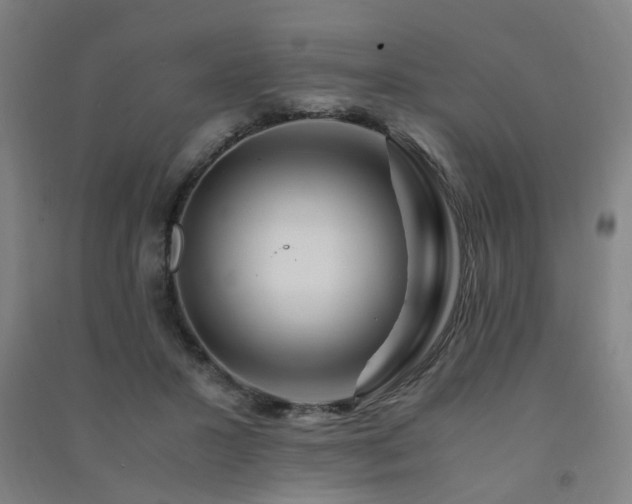 X0000091490407200708161442