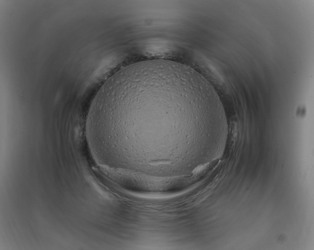 X0000091490408200708161442
