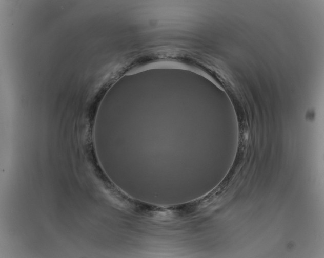 X0000091490411200708161442