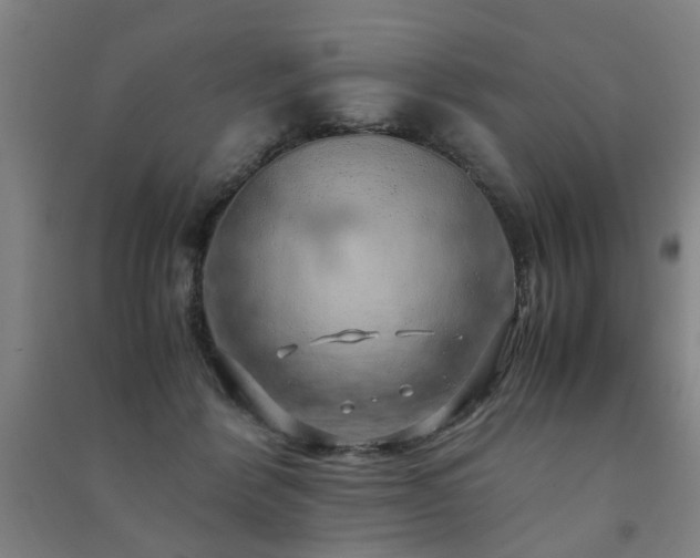 X0000091490412200708161442
