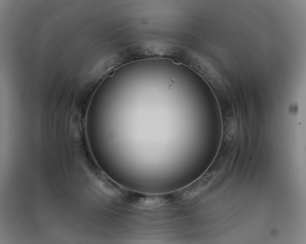 X0000091490414200708161442