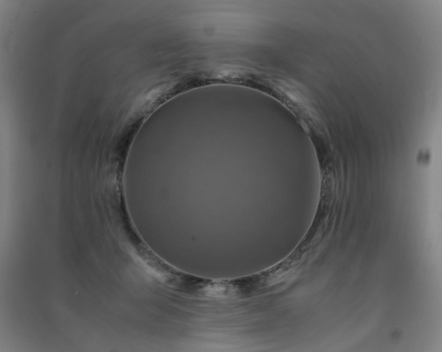 X0000091490415200708161442