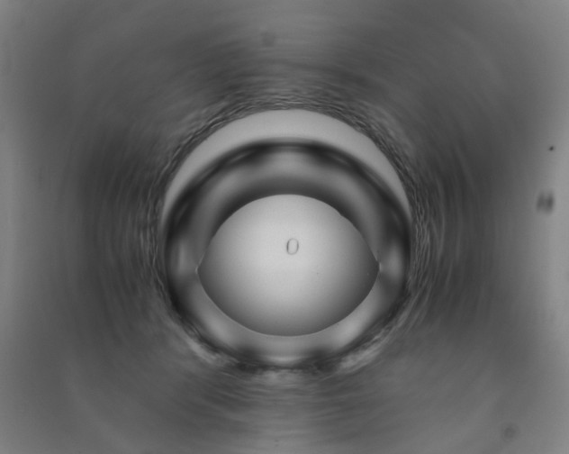 X0000091490416200708161442