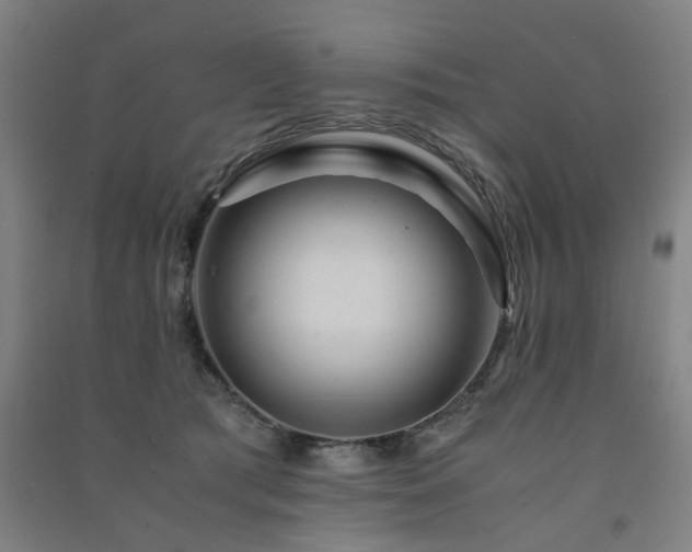 X0000091490417200708161442