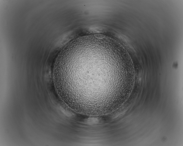 X0000091490418200708161442