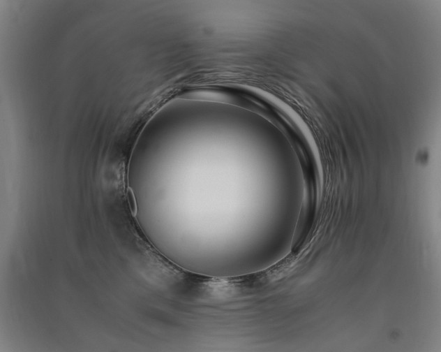 X0000091490425200708161442