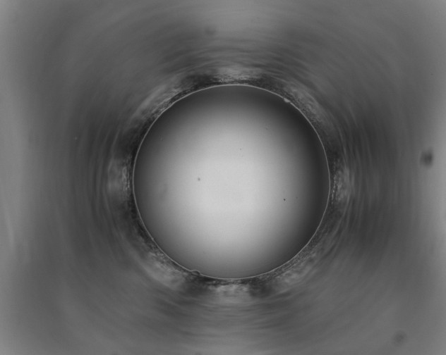 X0000091490426200708161442